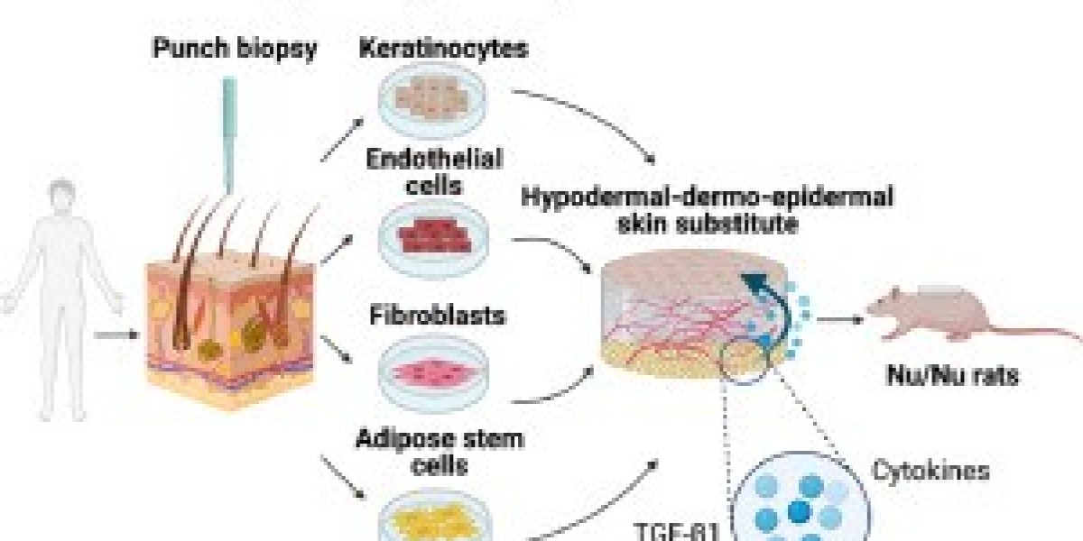 Biological Skin Substitutes Market Trends, Industry Growth and Forecast Report 2031