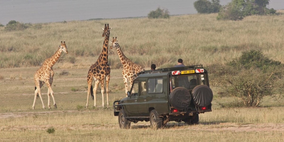 Explore the Wonders of Tanzania Safari Tours with See Endless Adventures