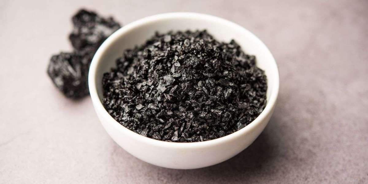 How Can Organic Shilajit Transform Current Wellness Theories?