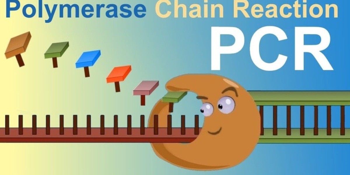 Polymerase Chain Reaction Technology Market: A Decade of Innovation and Expansion