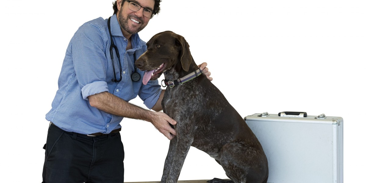 Dr. G Mobile Vet: Veterinary Doctor Home Visit and Doorstep Services for Your Pet's Health