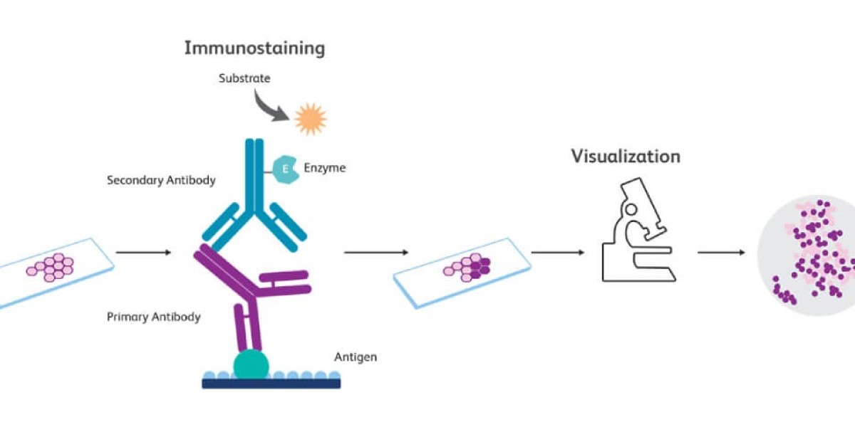 Immunohistochemistry  Size, Share, Trends, Opportunities, and Forecast 2024-2034.