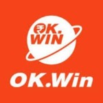 Okwin game Profile Picture