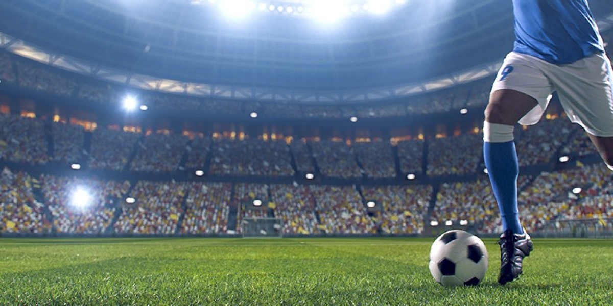 The Best Sports Tournaments to Bet on Sky Exch