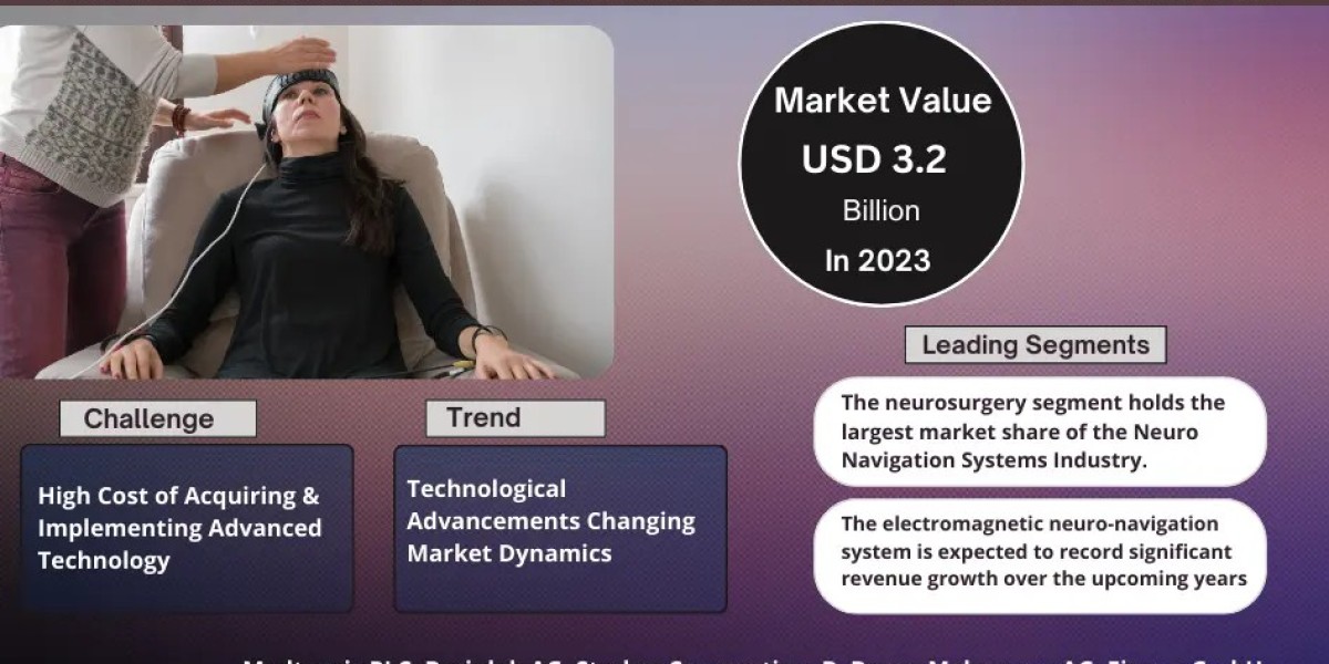 Neuro Navigation Systems Market Growth Study: Size, Share, Companies, and Trends Insights