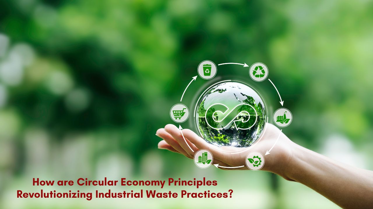 Circular Economy Principles Revolutionizing Industrial Waste