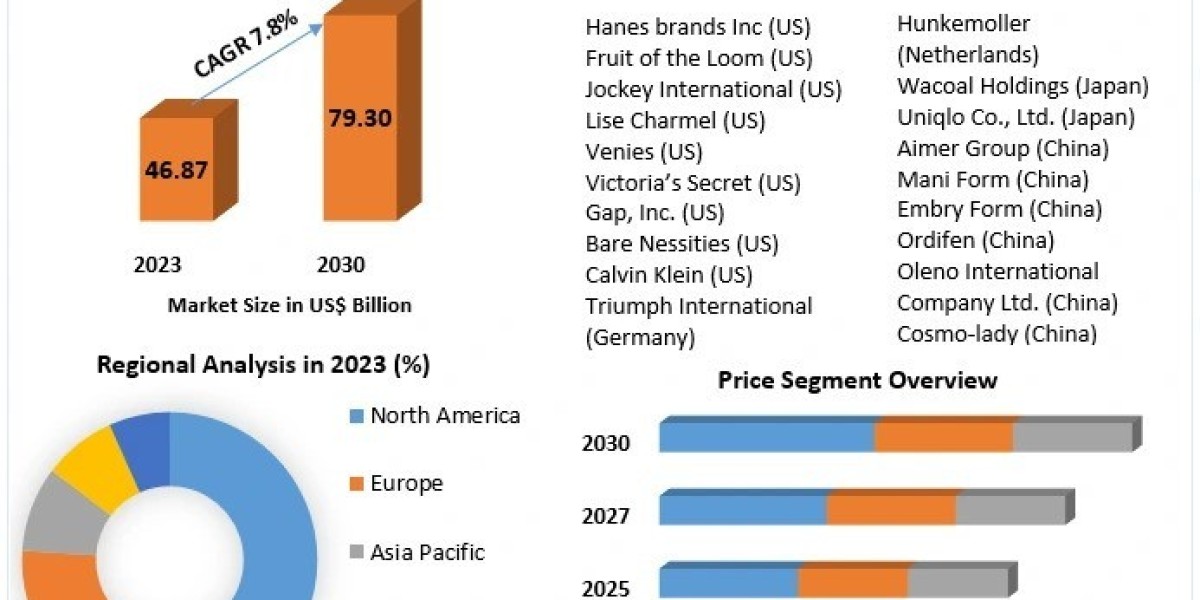 Lingerie Market Size, Share Leaders, Industry Share And Analysis