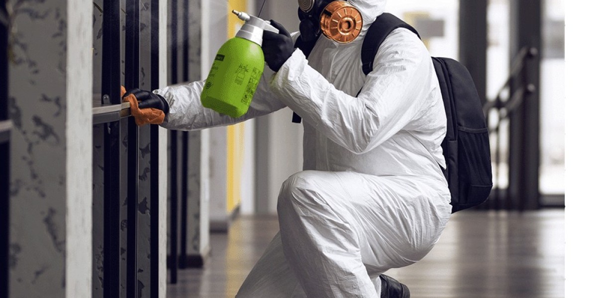 Mold Inspection & Testing in Los Angeles: Ensuring a Healthy Home