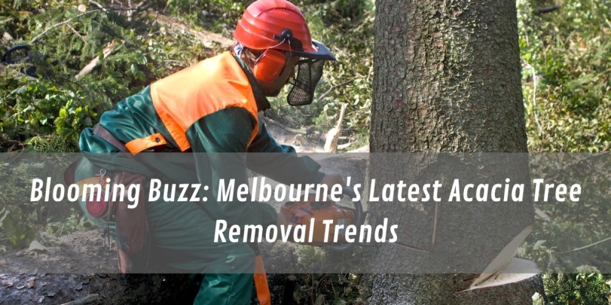 Blooming Buzz: Melbourne's Latest Acacia Tree Removal Trends