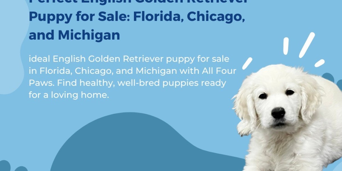 Champion Bred Golden Retrievers and Puppies in Florida, Indiana, and Midwest from Top Bloodlines