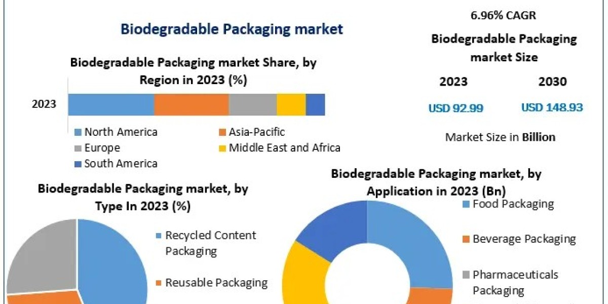 Global Biodegradable Packaging Market Size Trends and Future Outlook