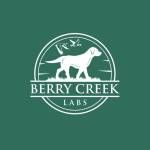 Berry Creek Labs Profile Picture