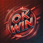 Okwin games Profile Picture