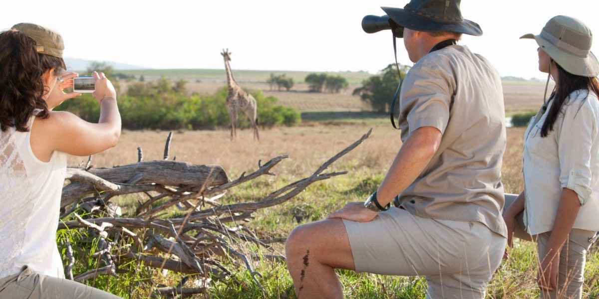 Discover the Best African Safari Experience with Kalahari Safaris