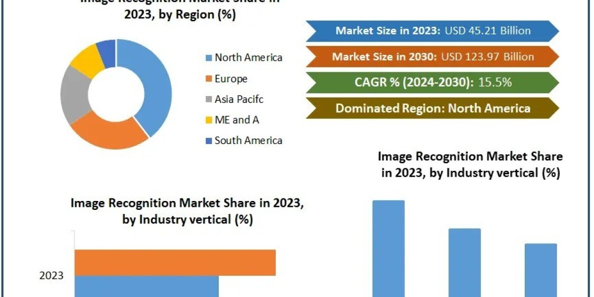 Image Recognition Market Size & Revenue by 2030