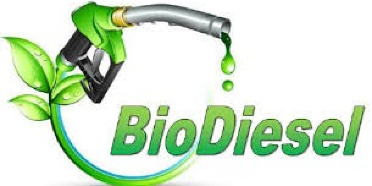 Biodiesel Industry Thrives Amid Increasing Demand for Renewable Fuels