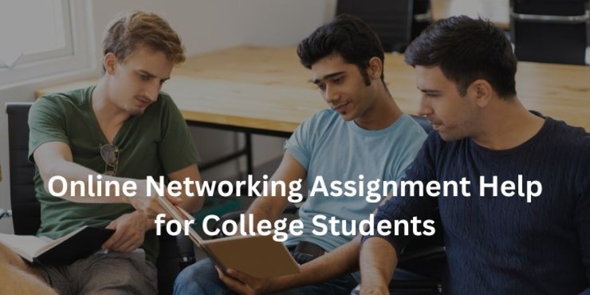 Online Networking Assignment Help for College Students