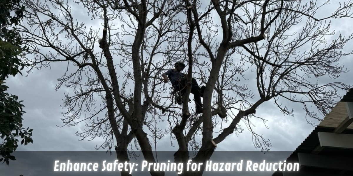 Enhance Safety: Pruning for Hazard Reduction