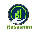 usasm mti Profile Picture