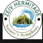 ZEIV HERMITAGE Profile Picture