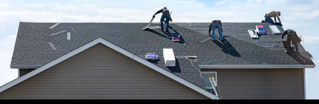 Stump Metal Roofing Cover Image