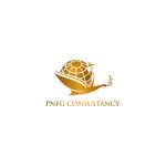 PNFG CONSULTANCY Profile Picture