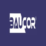 Baucor Tools Profile Picture