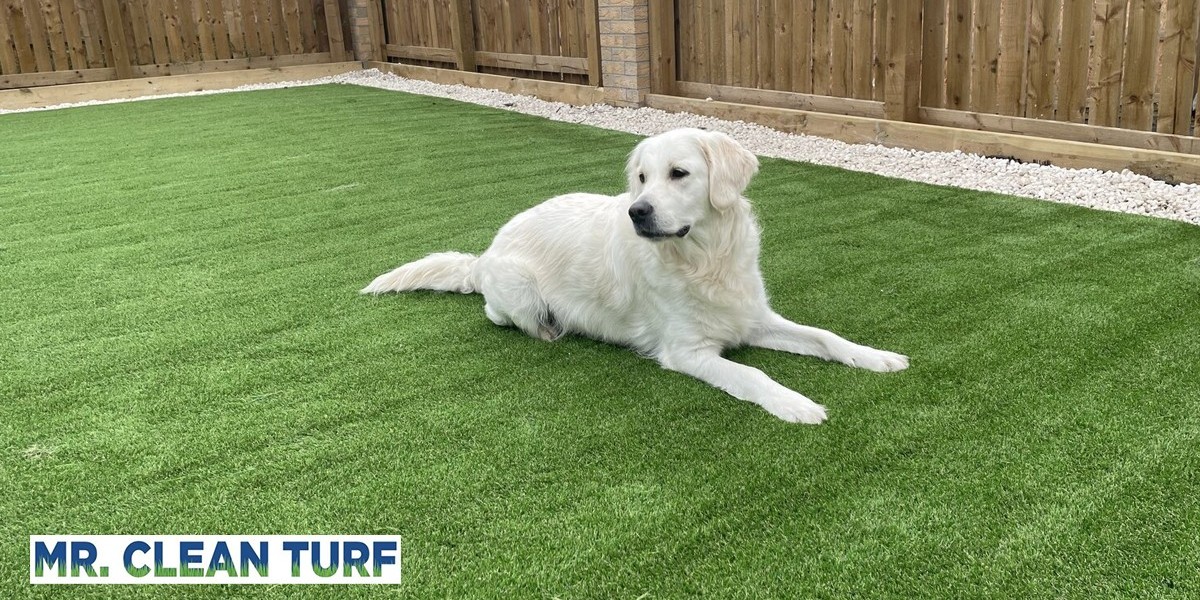 How to Remove Pet Odors from Artificial Turf: Cleaning Hacks That Work