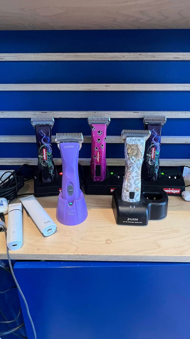 Flawless Grooming: How to Choose Pet Clippers for Professionals | Right Time To Buy