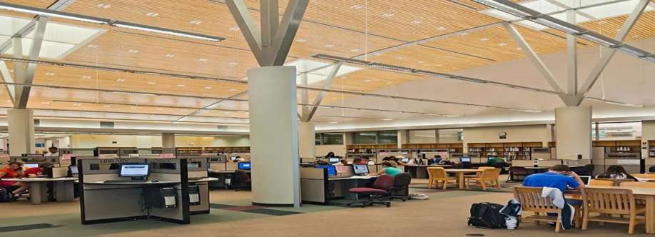 The Computer Magician Cover Image