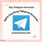 Top 31 Best sites to Buy Telegram **** (PVA & Aged) Profile Picture