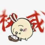 quietorchidway Profile Picture