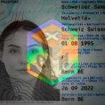 David William Profile Picture