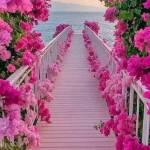 tacos Profile Picture