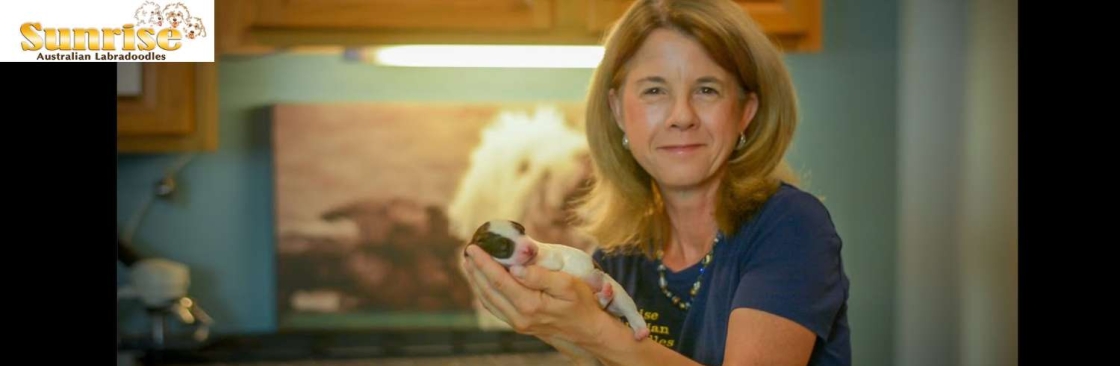 Sunrise Australian Labradoodles Cover Image