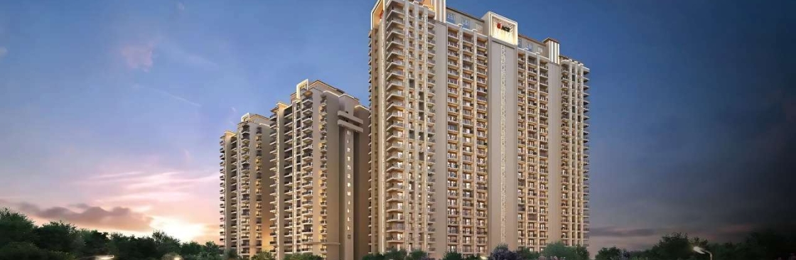 Ace Verde Cover Image