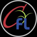 anjali cfl Profile Picture