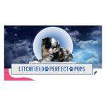 Litchfield Perfect Pups Profile Picture