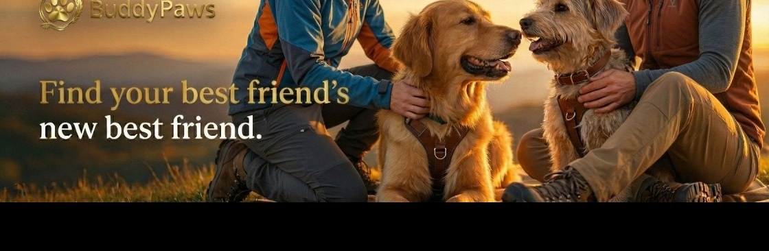 buddy Paws Cover Image