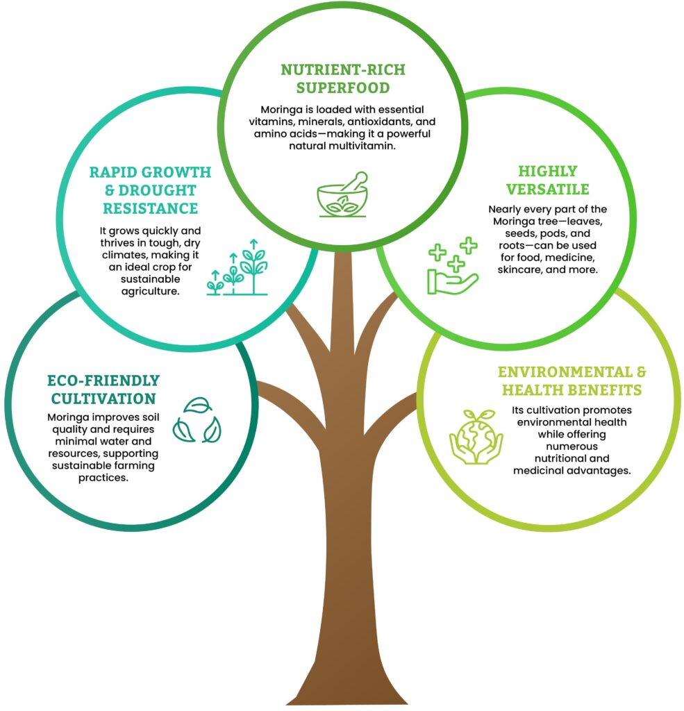 Moringa Supplement – Moringa With Barry for Vital Energy